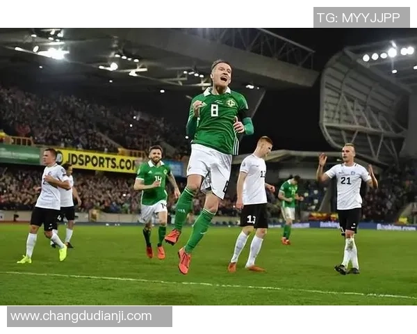 爱尔兰与北爱尔兰友谊赛实力分析及对比探讨